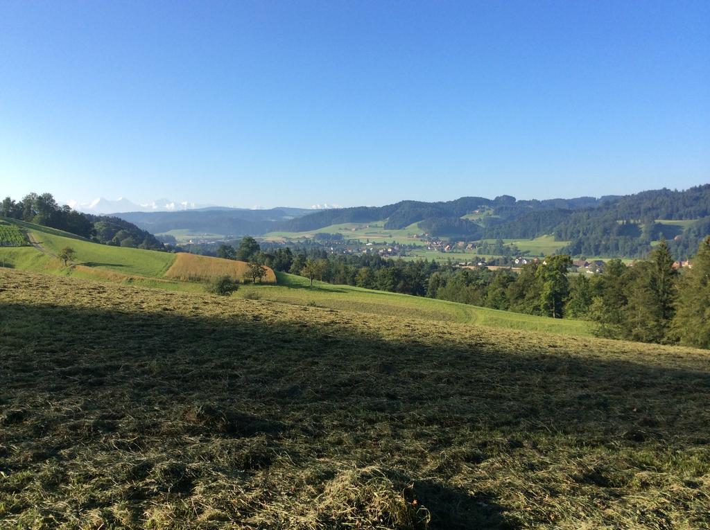 Landcafe Mit Mini Hotel Burgdorf Exteriör bild